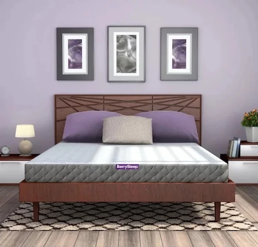 BerrySleep