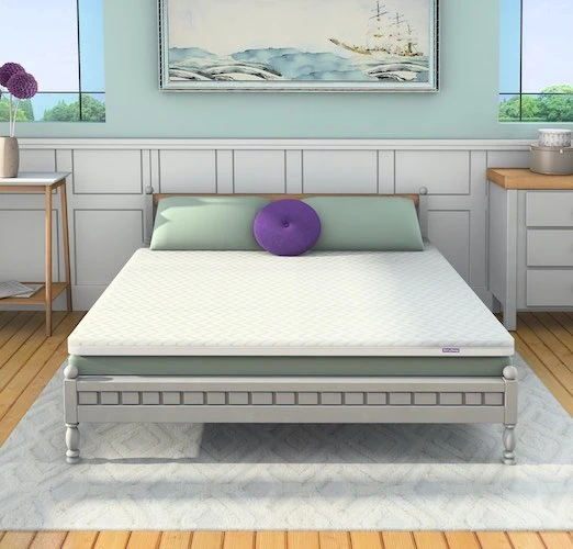 BerrySleep