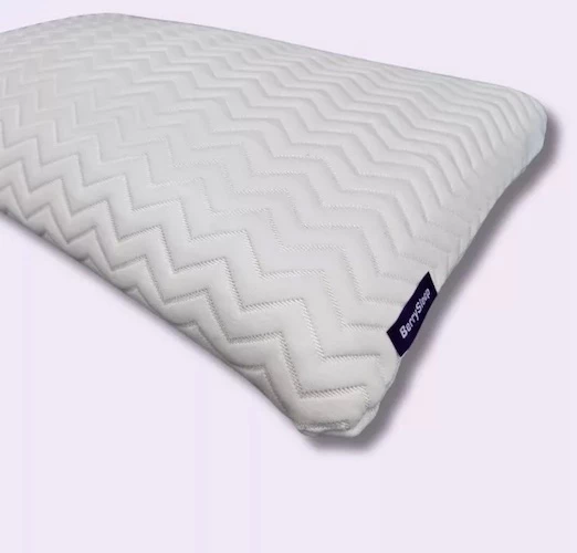 BerrySleep