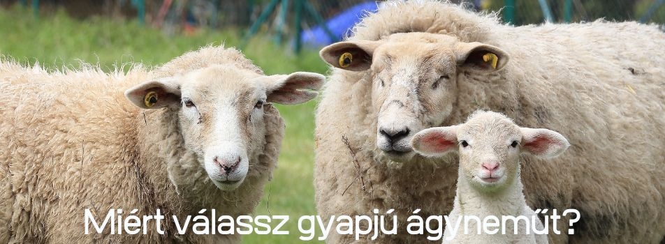 A gyapjú áldásos hatásai – Miért válassz gyapjú ágyneműt?