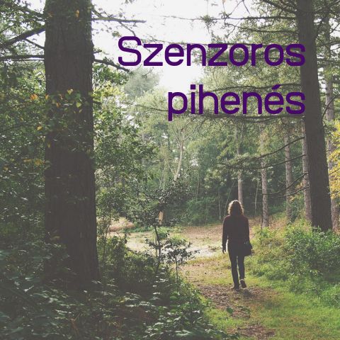 Szenzoros pihenés: Hogyan nyugtathatod meg az érzékszerveidet?